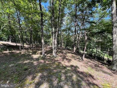 634 Island Ridge Rd, Romney, WV 26757 - photo 5