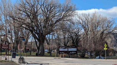 TBD Railroad Hyde St, Ridgway, CO 81427 - photo 4