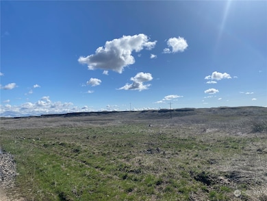 23151 Lone Pine Rd E, Creston, WA 99117 - photo 5