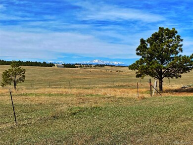 17315 Hopper Rd, Peyton, CO 80831 - photo 3