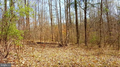 0 Stonewall Jackson Hwy unit 1001864226, Front Royal, VA 22630 - photo 7