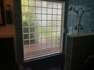 Master shower