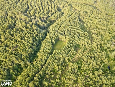 0 Neely Avera, Neely, MS 39461 - photo 3