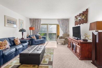 Tierra Del Mar unit 3210, Boca Raton, FL 33432 - photo 6