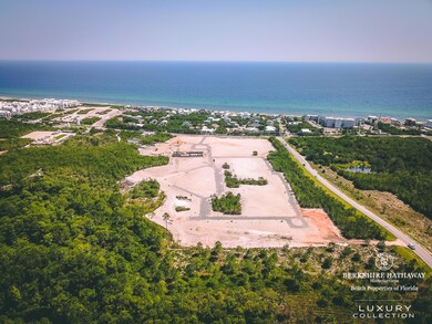 Kaiya from above-2-logo