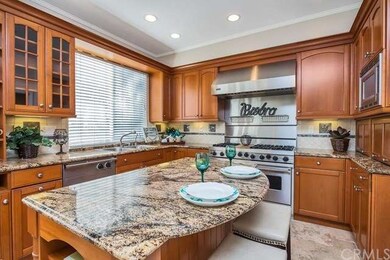 Chef's kitchen with all Professional Viking Applia