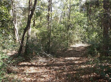 0 Murray Rd unit 7662707, Irvington, AL 36544 - photo 6