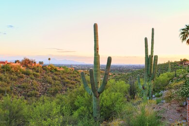 View from back yard