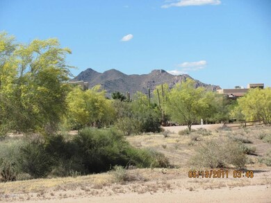 Looking North from back of property
