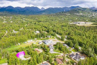 Aerial_1