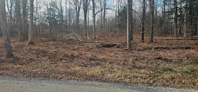 0 Chip n Dale Dr, Pickerel, WI 54465 - photo 5