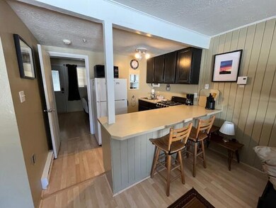 Edelweiss 202 kitchen