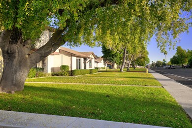 31st Ave (9)