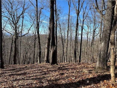 This 1.34 lot has great winter views and should accommodate any floor plan that meets the restrictions of the community.