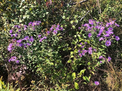 14 Alexandra Dr, Mettawa, IL 60048 - photo 2