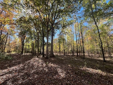 Al-10, Shorterville, AL 36373 - photo 5