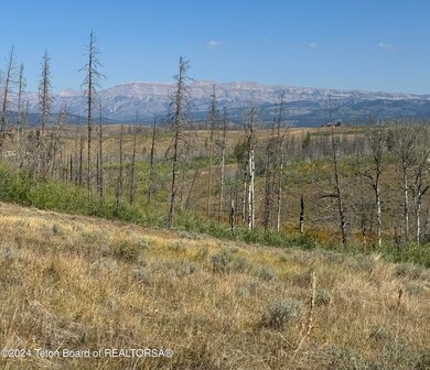 IMG_8605 (1)