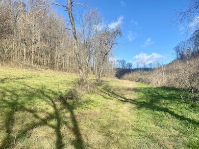 4570 Highway 64 E, Pulaski, TN 38478 - photo 3