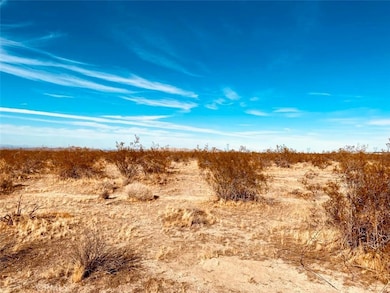 135 135th St E, Pearblossom, CA 93553 - photo 3