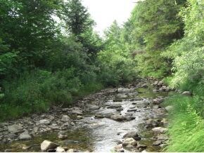 River Frontage Looking South