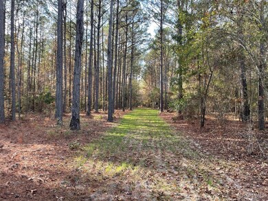 . County Road 69, Valley Grande, AL 36701 - photo 2