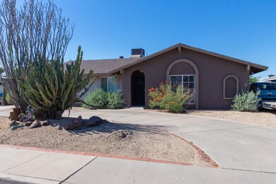 Cholla (3)