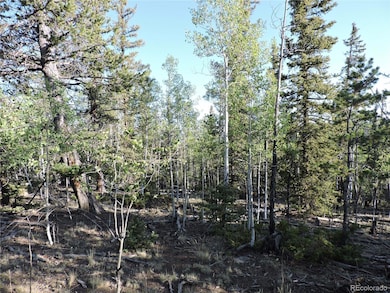 170 Buckskin Ct, Como, CO 80456 - photo 2