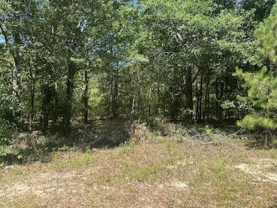 View of nature