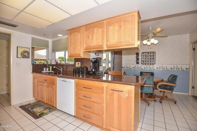 10258 W Highwood Ln, Sun City, AZ 85373 - photo 3