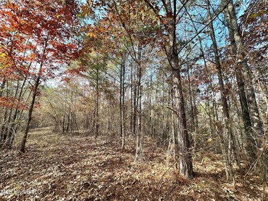 3 County Road 3122, McCool, MS 39108 - photo 6