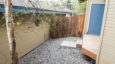 Backyard 1
