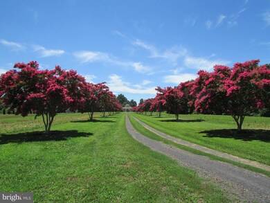 4296 Leedstown Rd, Colonial Beach, VA 22443 - photo 7