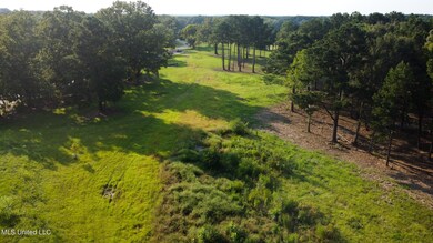 Annandale Property-12