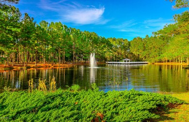9. Lake View MLS