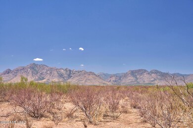 Chiricahuas from near property center