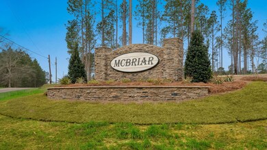 McBriar pic 3