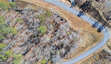 264 Riverview Dr, Ellijay, GA 30540 - photo 5