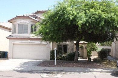 GREAT SHADE TREE