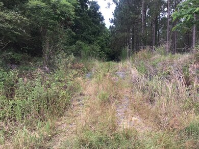 000 Brady Rd, Cordele, GA 31015 - photo 2