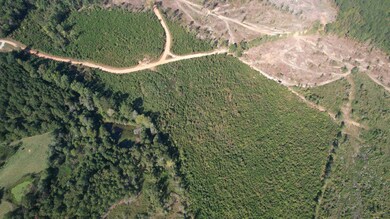 00 Moores Dr, Edgefield, SC 29824 - photo 7