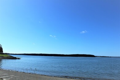 IMG_0710 (2)