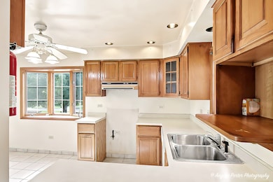 3709 Grand Ave, McHenry, IL 60050 - photo 5