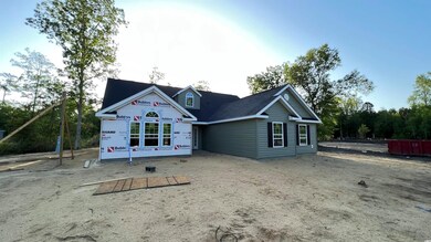 4076 Hamp-Ned Rd, Conway, SC 29526 - photo 2