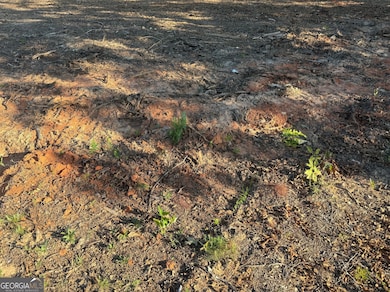 3980 Highway 5, Douglasville, GA 30135 - photo 5