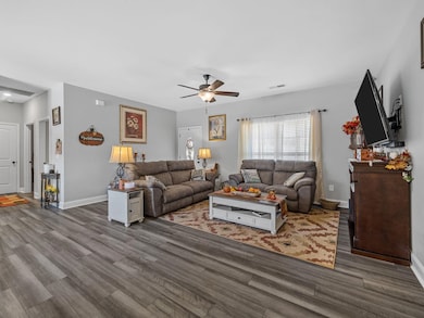 1076 Mcswain Rd, Chesnee, SC 29323 - photo 4