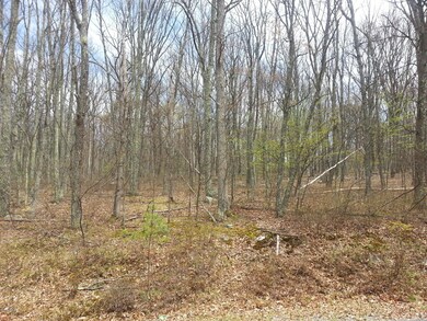 232 Sec 2 Lilypad Ln, Lackawaxen Township, PA 18428 - photo 4