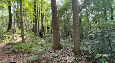 TBD-1 Peter Mabe Rd, Danbury, NC 27016 - photo 3