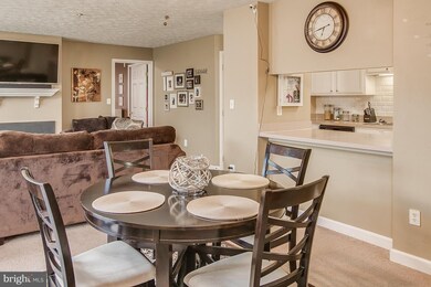 6509 Springwater Ct unit 6301, Frederick, MD 21701 - photo 5