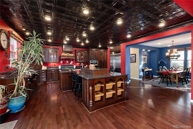 Dramatic stamped tin ceiling creates elegant chef's kitchen with a western flair