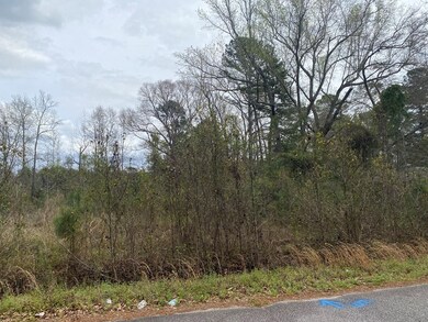 927 Rodney Rd, Orangeburg, SC 29115 - photo 2